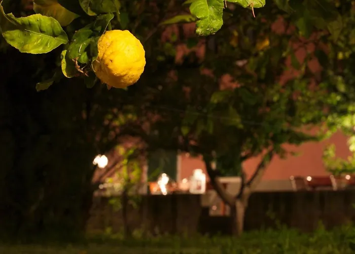 卡萨勒阿玛尔公寓 * 坎普码港